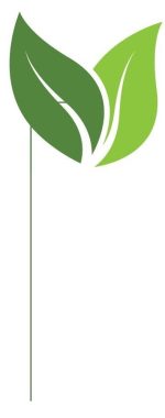 transition-ecologique transition-ecologique